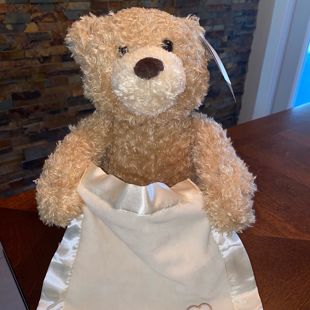 Gund Peek A Boo Teddy Bear